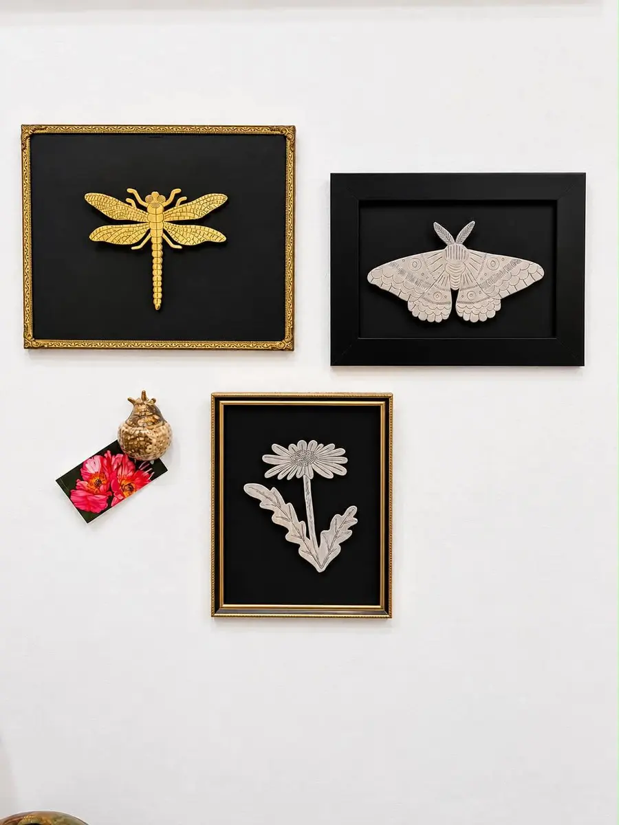 Framed dragonfly, moth and botanical pieces on a white wall